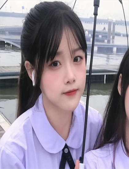 从文化视角解读《菜鸟霹雳胆》：文化传播与社会影响及其思考 揭示电影的文化价值与意义