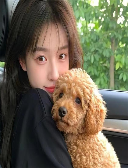 技术分析：《剑归何处》中的斯坦尼康 提升作品质量的技术保障 提升中国电影的国际竞争力